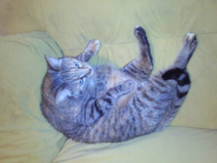 Maya - (4 ans)