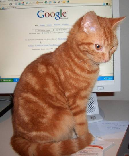 norvca - (3 ans)