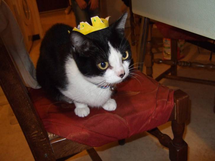 fanny - (9 ans)