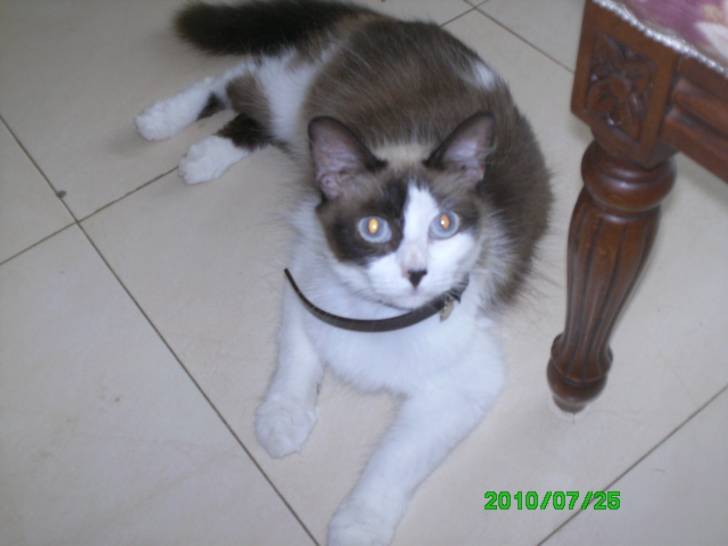 Linda - (1 an)