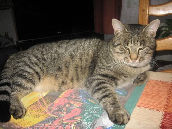 louise - (1 mois)