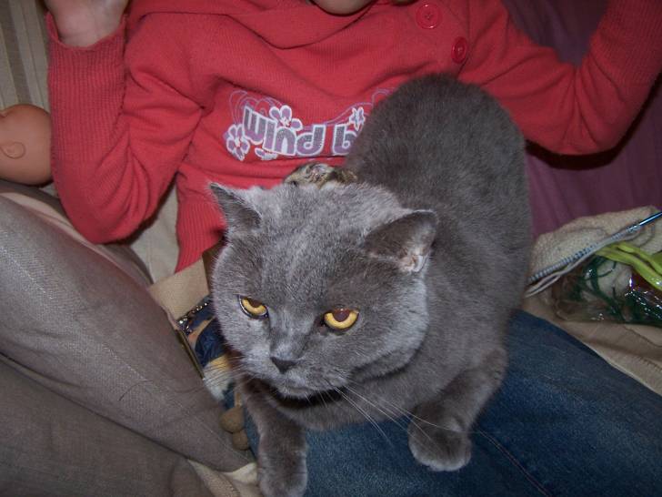 isis - (19 ans)