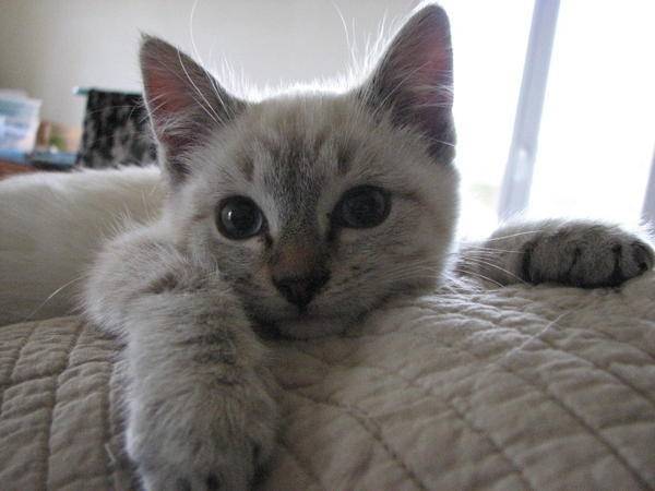 Polie - (4 mois)