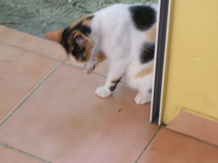 mimi - (5 ans)