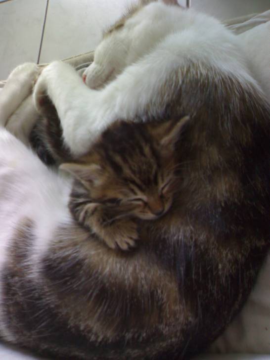 marie et minette - (3 ans)