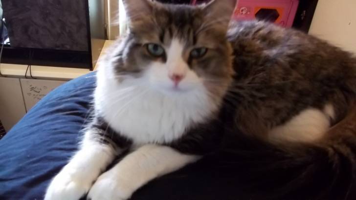 Mimine - (2 ans)