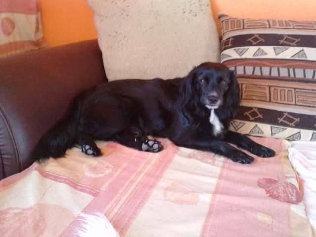 belle - (3 ans)
