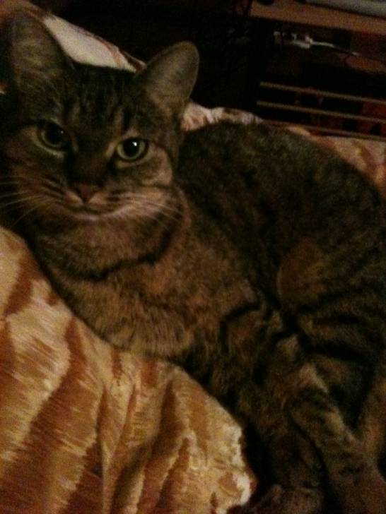 Leeloo - (7 ans)