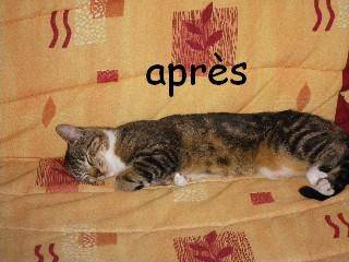 Mimine - (2 ans)