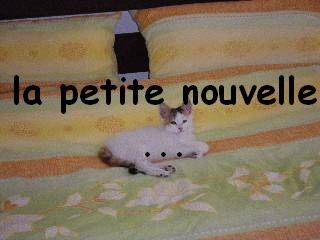 Plume - (9 mois)