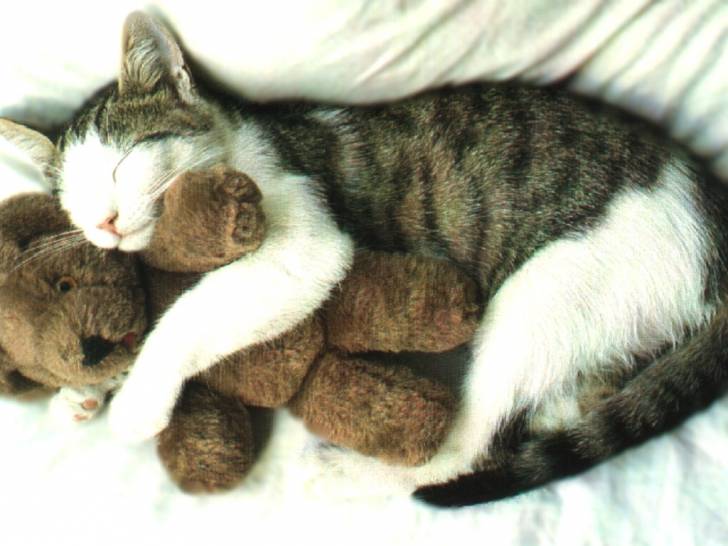 nikita - (13 ans)
