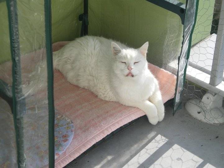Fidji - Mâle (19 ans)