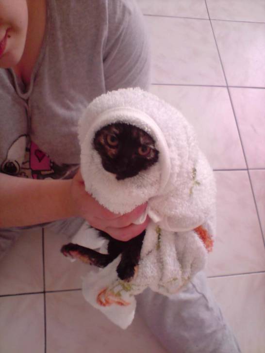elfie - (7 mois)
