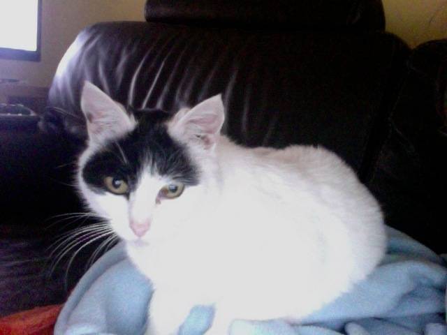 lola - (10 ans)