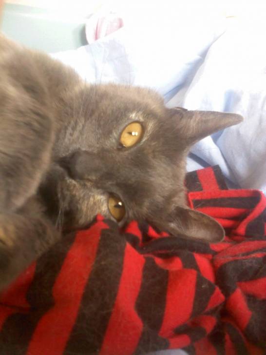 campounette - (3 ans)