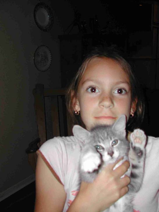 Minou 2 - Mâle (2 mois)