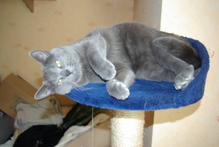 abysse - (2 ans)