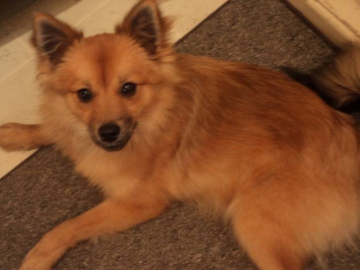 jessy - (6 mois)