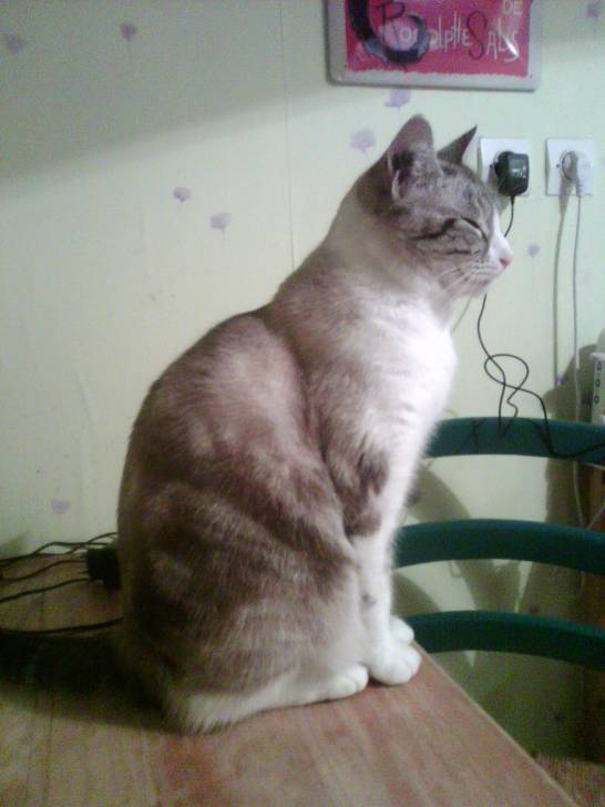 Lili - (4 ans)