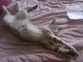 Lili - (4 ans)
