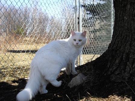 mili - (2 ans)