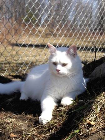 mili - (2 ans)