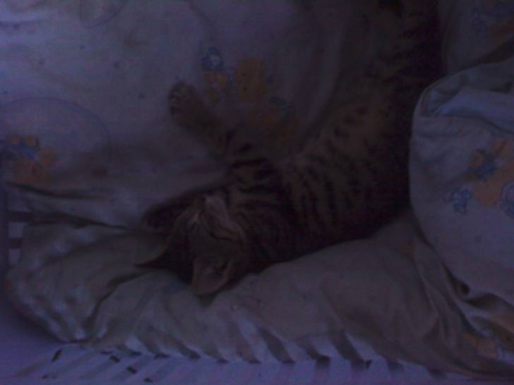 fifille fait dodo - (1 an)
