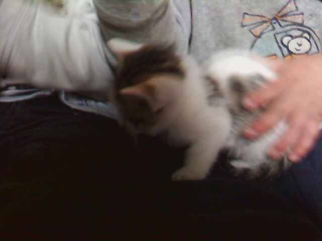 1 bebe de fifille - (1 an)