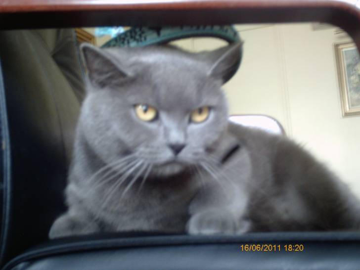 Bahia - (5 ans)
