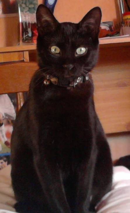 Kenza - (3 ans)