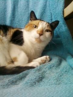 Maggie - (7 ans)