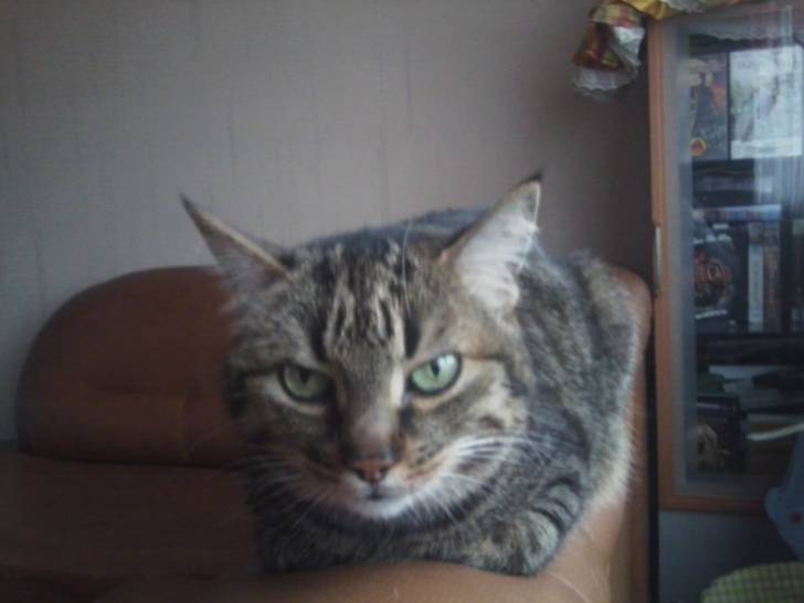 poupouce - (10 ans)