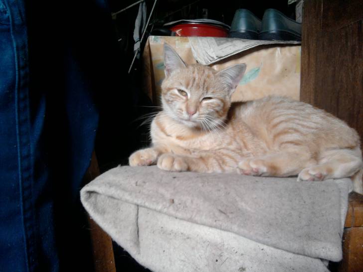 caramel - (8 ans)