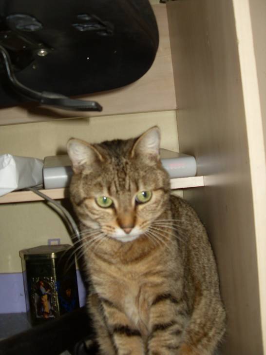 Sira - (7 ans)