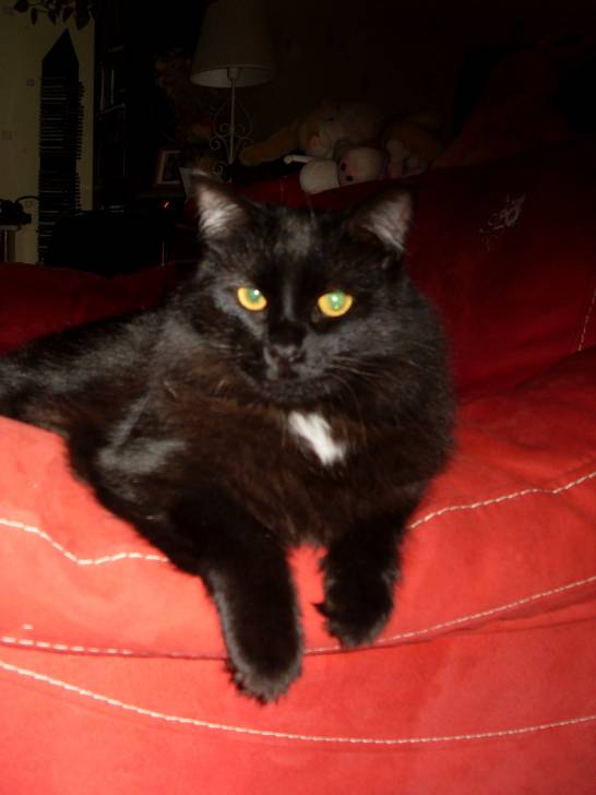 Safire - (5 ans)