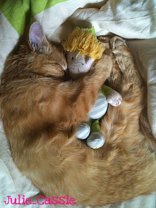 Coquine et son doudou - (8 mois)