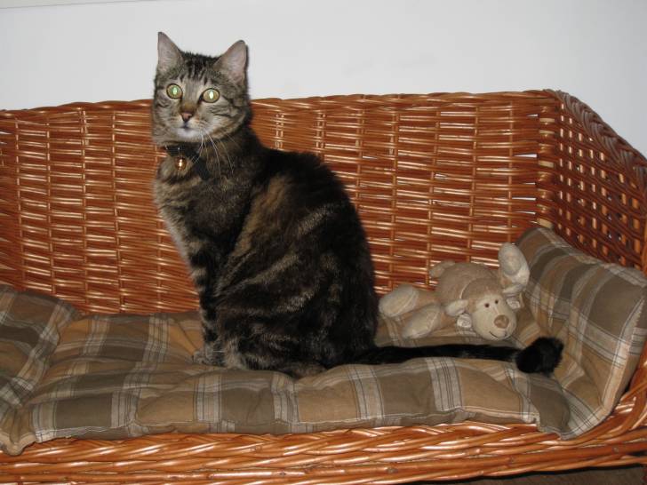 Esther - (5 ans)