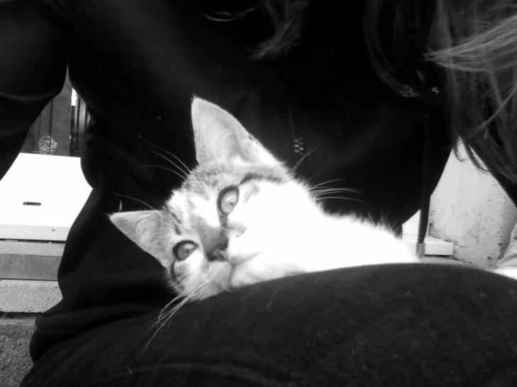 Titi - (5 mois)