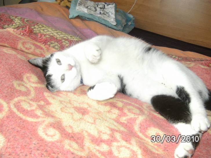 crapule - (3 ans)