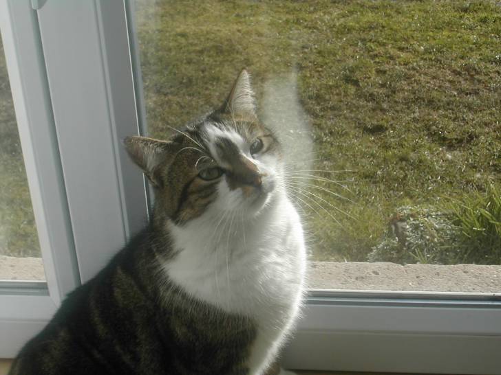 Pépite - (8 ans)