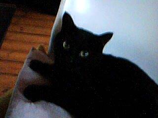 Lily - (4 ans)