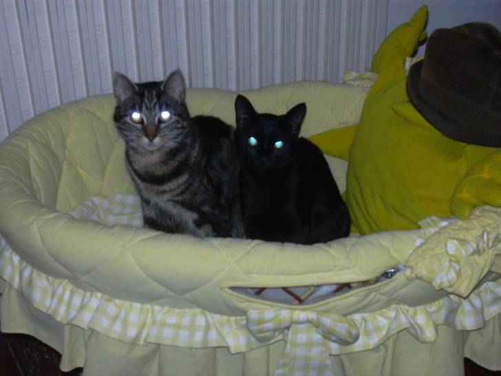 Lily et candy -