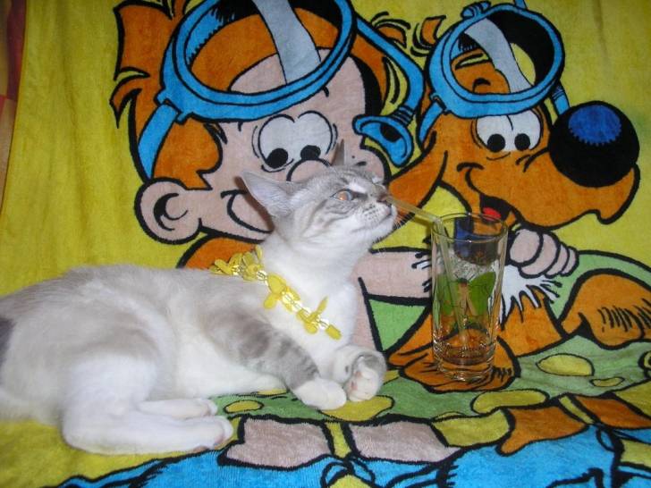 Tifoune - (2 ans)