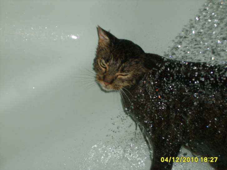 Peluche - (3 ans)