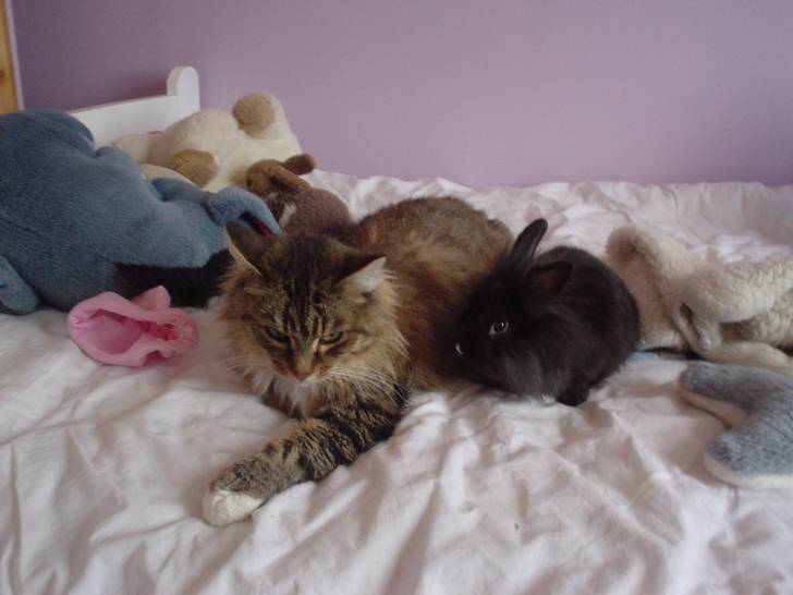 Cerise - (17 ans)