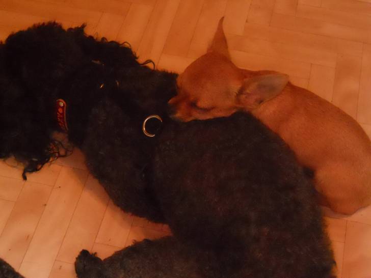 roxy et gucci -