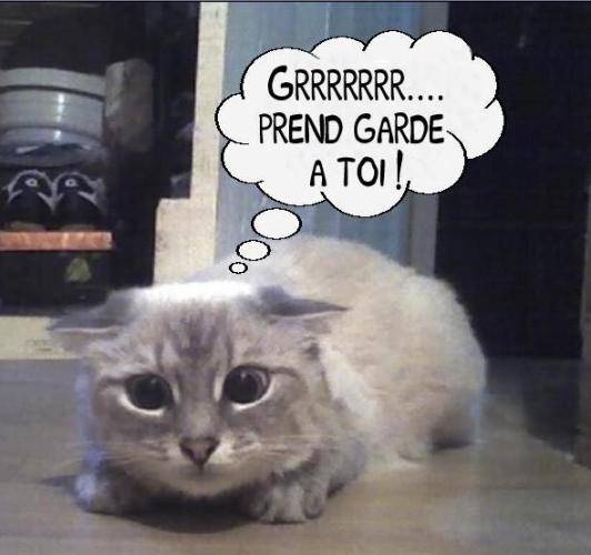 Poupousse a l’affût ^^ - (5 ans)