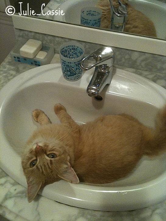 Coquine dans le lavabo - (9 mois)