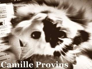 Prunelle? - (6 mois)