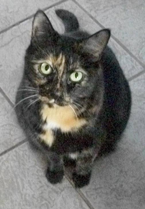 Choco - (7 ans)